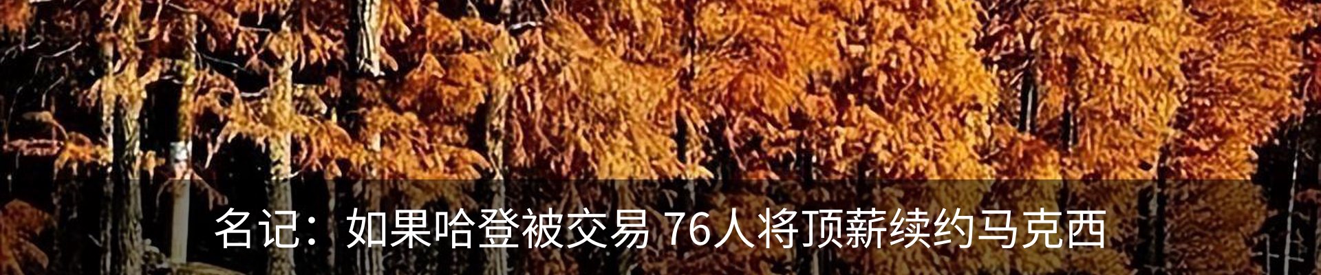 新闻动态